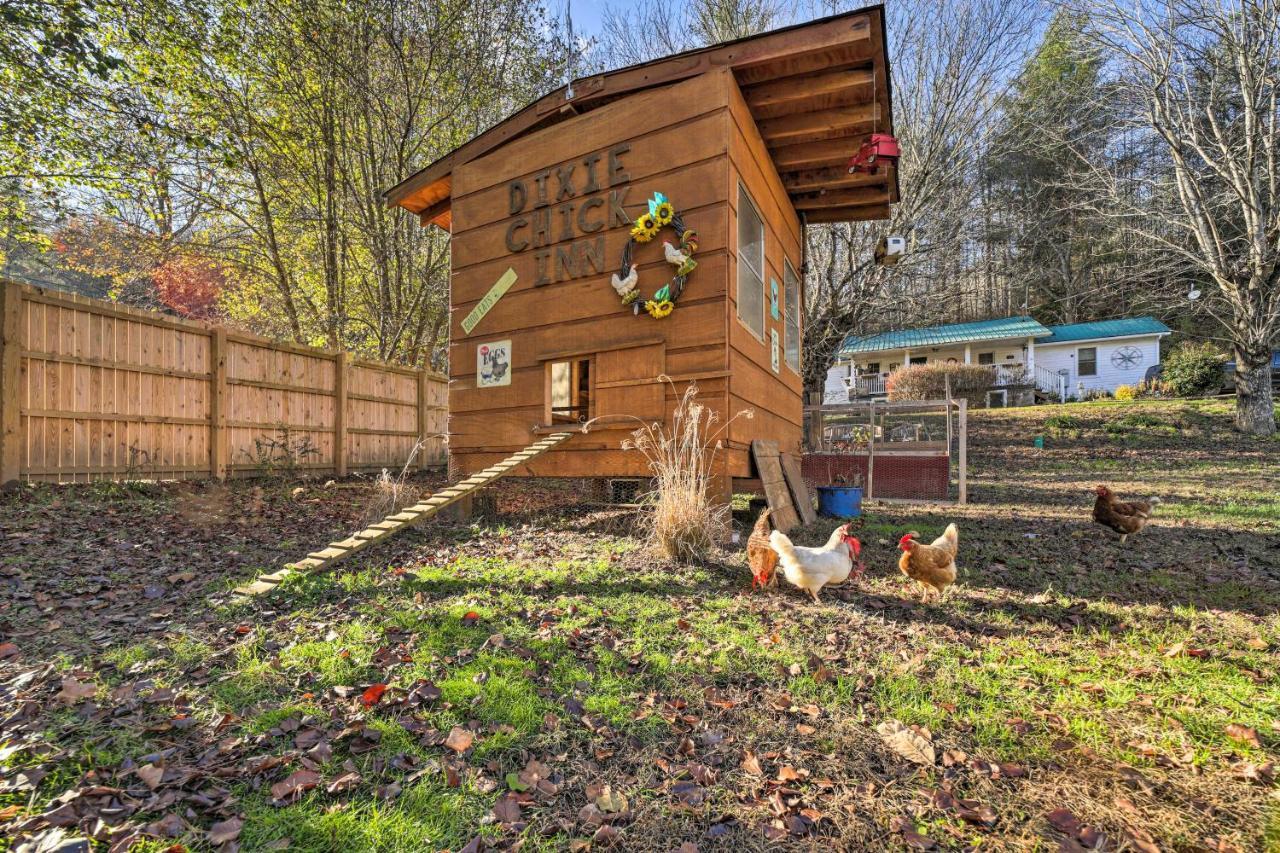 Smoky Mountain Vacation Rental With Hot Tub And Kayaks Whittier Dış mekan fotoğraf