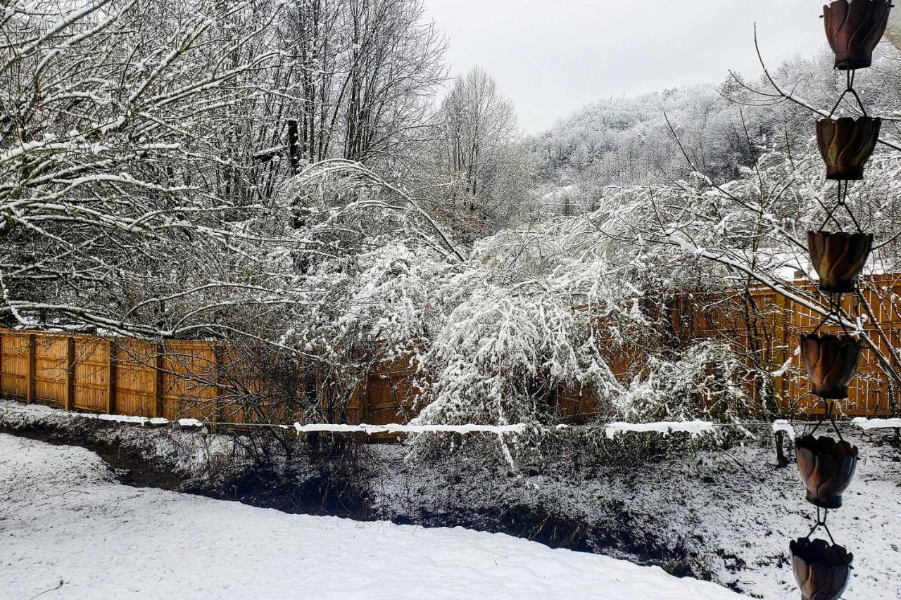 Smoky Mountain Vacation Rental With Hot Tub And Kayaks Whittier Dış mekan fotoğraf
